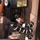 Illustration for article titled PMA 07: Joby Gives GorillaPod a Dose of Growth Hormone